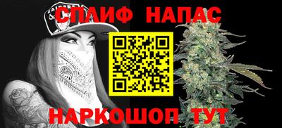 шишки Шебекино