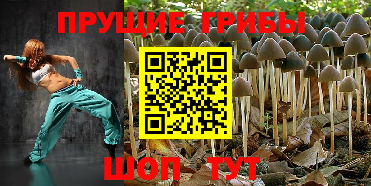 Псилоцибиновые грибы GOLDEN TEACHER  Вход с VPN  Галлюциногенные грибы Magic Shrooms  Люберцы 